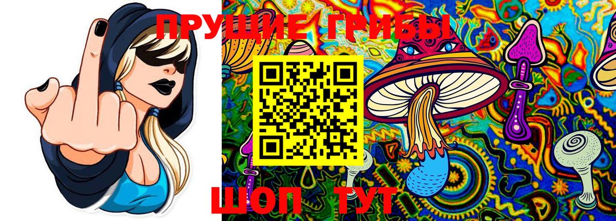 Псилоцибиновые грибы ЛСД  Вход с VPN  Аша 